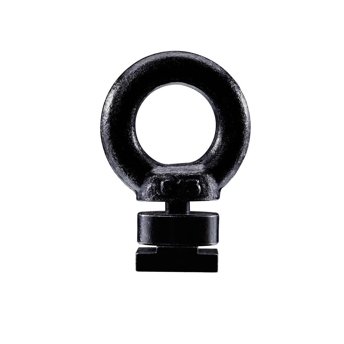 Thule Verzurrösen Ringschrauben Eyebolt M8 #320